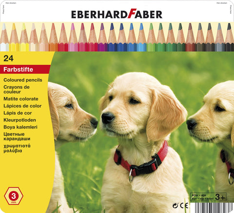 Colouring Pencils - Animal Motif Tin x 24 Assorted Colours