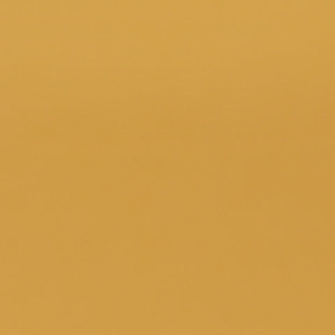 Bristol Board 300gsm 50 x 70 - Gold Matt