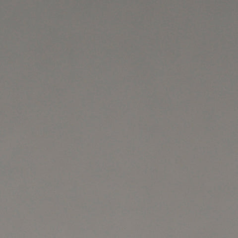 Bristol Board 300gsm 50 x 70 - Silver Matt