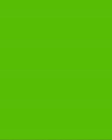Bristol Board 300gsm A4 - Grass Green