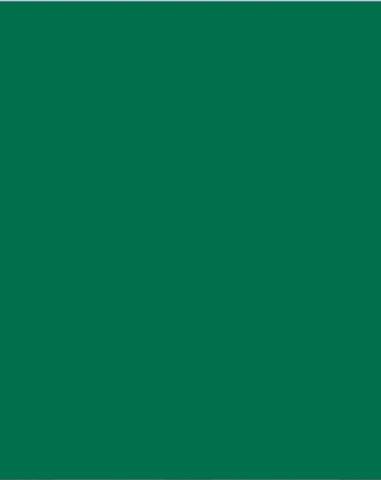 Bristol Board 300gsm A4 - Fir Green
