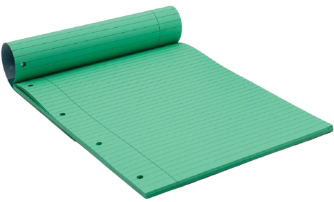 A4 Refill Pad - Comfort Writing for Dyslexic/100pg - Parrot