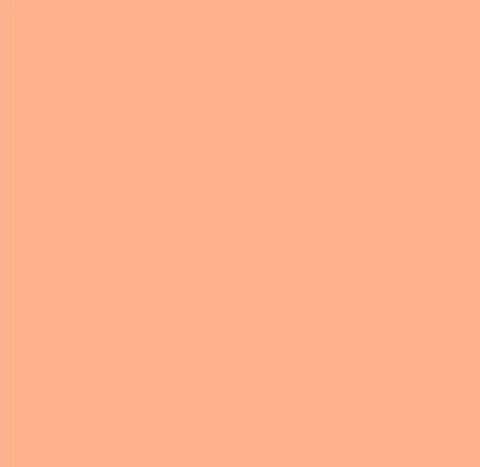 Bristol Board 300gsm 50 x 70 - Apricot
