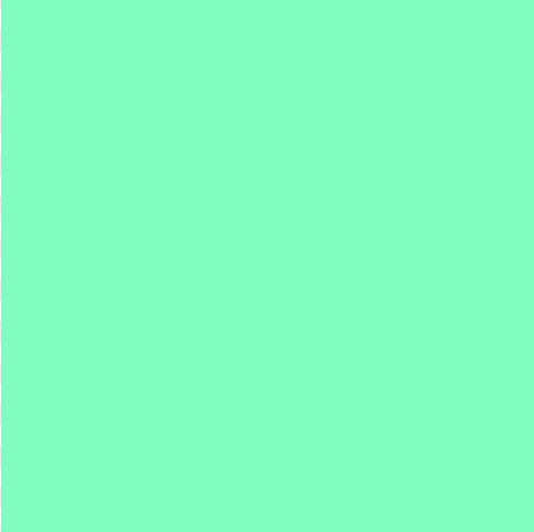 Bristol Board 300gsm 50 x 70 - Mint