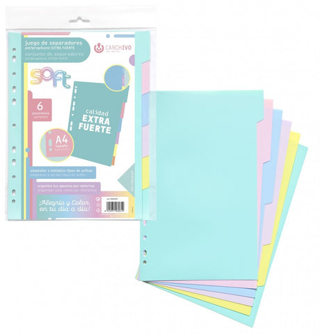 Dividers     A4 Standard INGENIOX Neon Set x 6