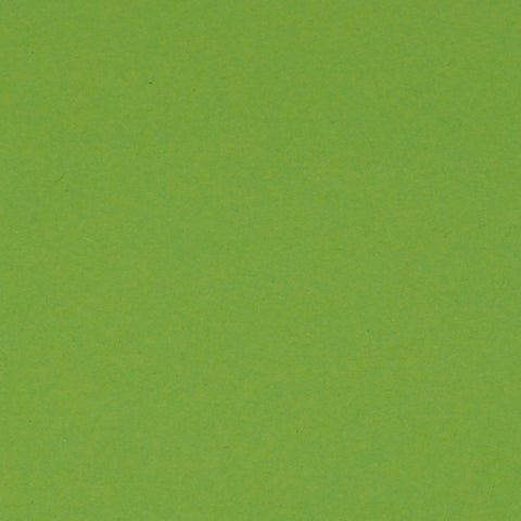 Bristol Board 300gsm 50 x 70 - Grass Green