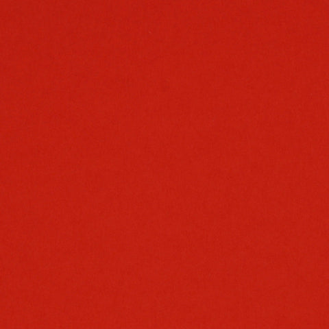 Bristol Board 300gsm 50 x 70 - Hibiscus