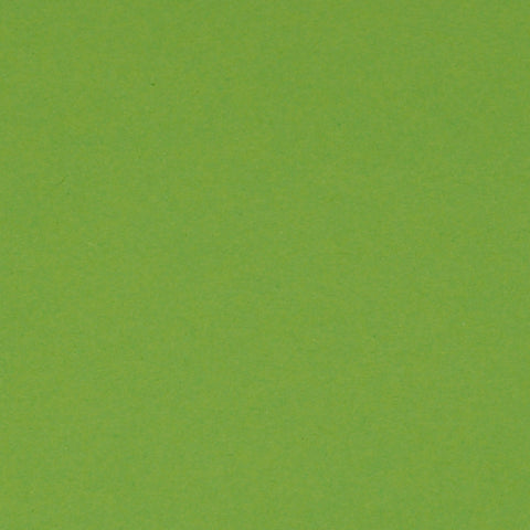 Bristol Board 300gsm 50 x 70 - Grass Green