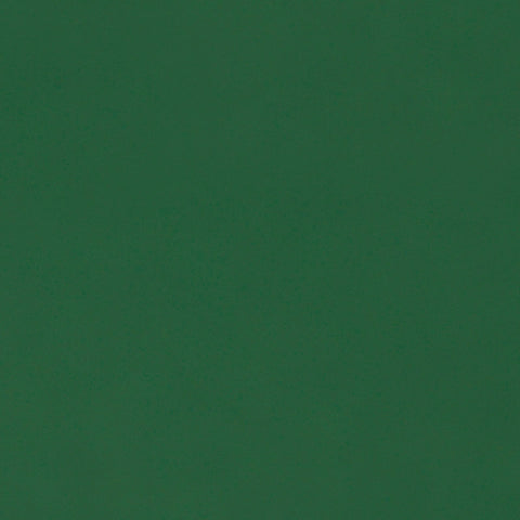 Bristol Board 300gsm 50 x 70 - Fir Green