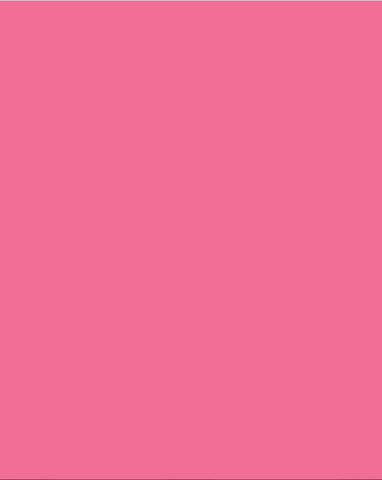 Bristol Board 300gsm A4 - Pink (Old Rose) (pack of 2)