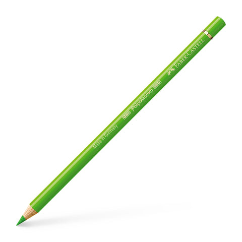 Colouring Pencil Polychromos - (166) Grass Green