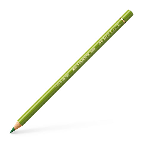 Colouring Pencil Polychromos - (168) Earth Green Yellowish