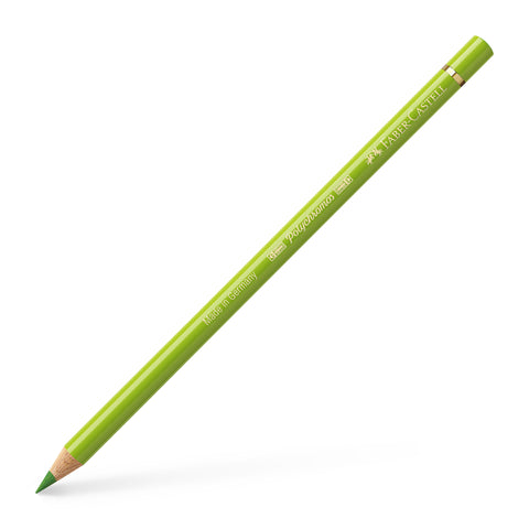 Colouring Pencil Polychromos - (170) May Green