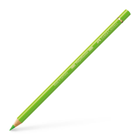 Colouring Pencil Polychromos - (171) Light Green