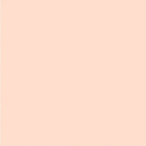 Bristol Board 300gsm 50 x 70 - Beige