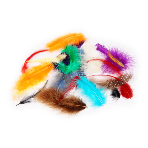 Feathers - Pkt x Assorted Sizes/Colours