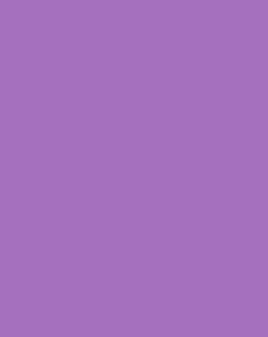 Bristol Board 300gsm A4 - Dark Lilac