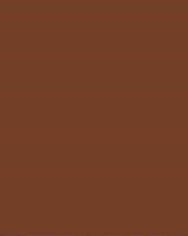 Bristol Board 300gsm A4 - Chocolate Brown