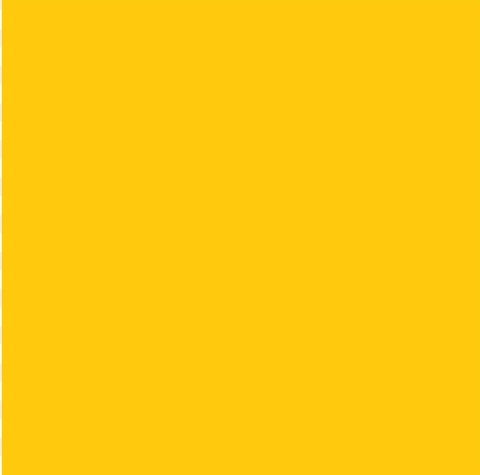 Bristol Board 300gsm 50 x 70 - Deep Yellow