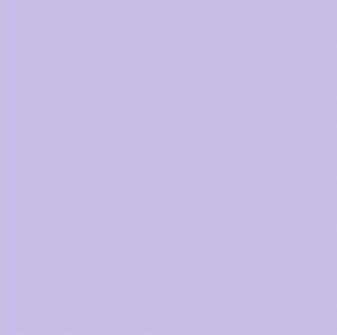 Bristol Board 300gsm 50 x 70 - Pale Lilac
